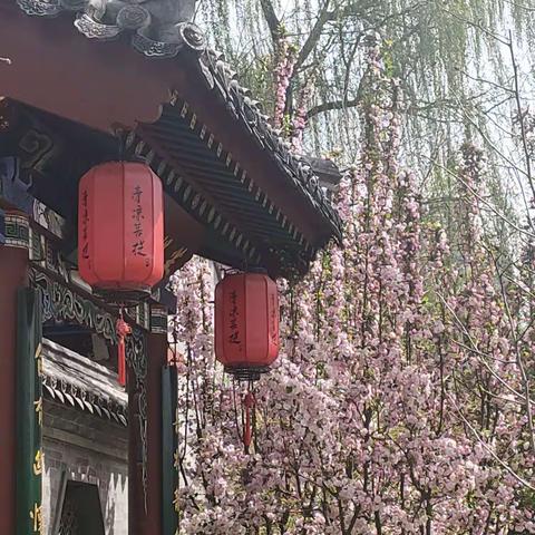 清明雨霁，蓝天白云，碧水微波，春熙景秀，群芳婆娑，柳绿桃红，樱兰斗艳，亭台楼阁，尽舒雄姿，壮哉如画！