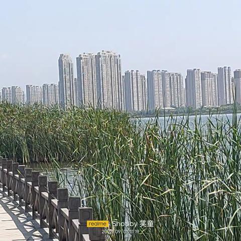 秋临晋阳湖：晋阳湖畔秋色浓，湖光涟漪多柔情。散落荷叶几点粉，芦苇亭亭立屏风。