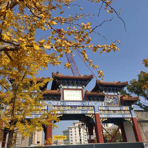 太原迎泽公园（秋色篇）秋色丰收入画盘，风情万种化诗篇。惊艳彩虹卷地来，春夏芳韵难比肩。