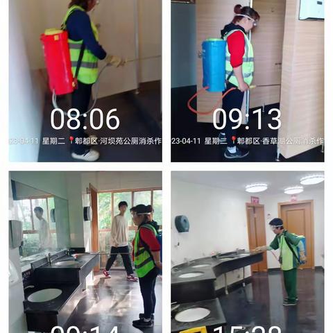 徐堰河二标段河道、绿道以及绿化日常管护情况