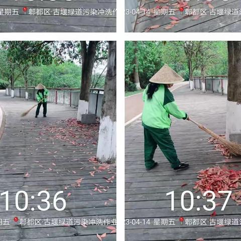 徐堰河二标段河道、绿道以及绿化日常管护情况