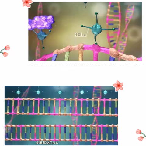 高中生物学新教材感悟系列：生物学重要概念的执教感悟