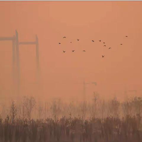 陶然情寄山水间（下）