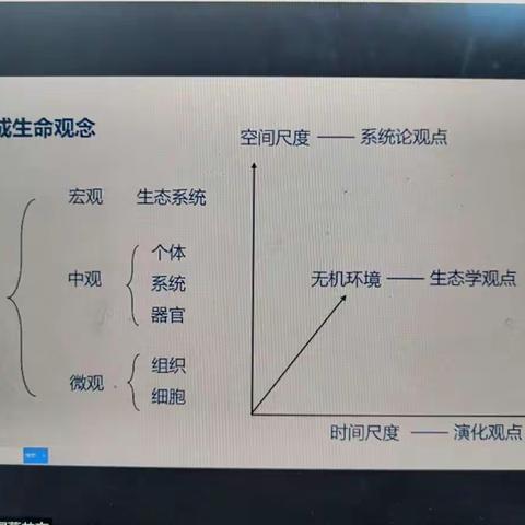 停课不停研，线上共成长一一成安县教师参加市教研同网研活动掠影