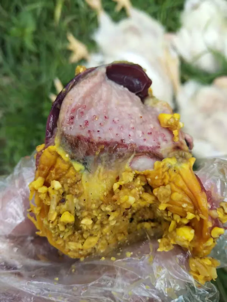 这两年频繁遇见痢菌净中毒病例