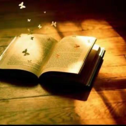 品味书香，浸润心灵——宁武县实验小学2（11）班  孙守诚