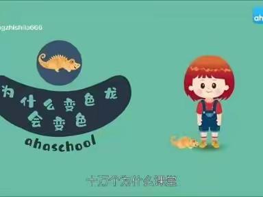 停课不停学，快乐伴成长——青少年宫幼儿园【第四期】