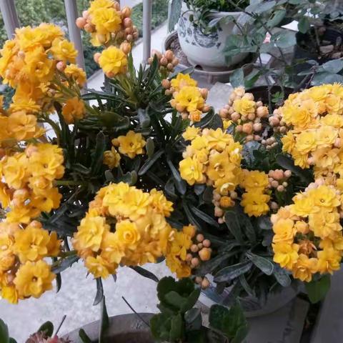 串联记忆的碎片＿大连行