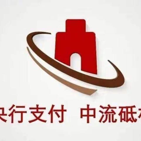 阜阳牡丹支行开展“中央支付，服务千家万户”宣传活动