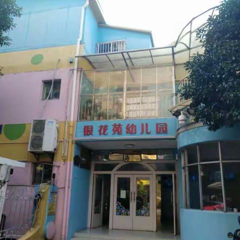 最美银幼-实习之旅