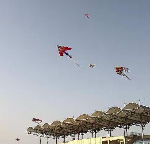 和安幼童擎线盘 忙趁东风放纸鸢🪁