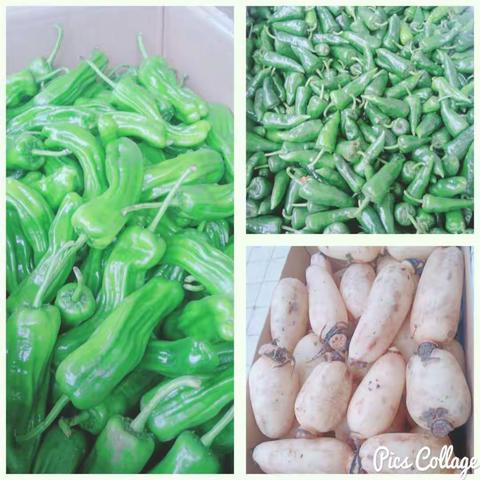 AAA超市蔬菜水果上新