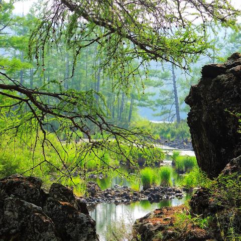 内蒙古--阿尔山 （中）