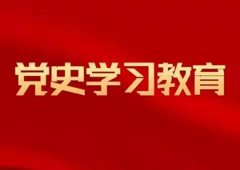 大王中心卫生院—党史学习教育专题组织生活会
