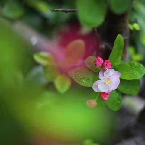 微雨润师心，正是好时节——记滨城区中学语文教研员冯志华老师到滨城区第三中学毕业班调研工作