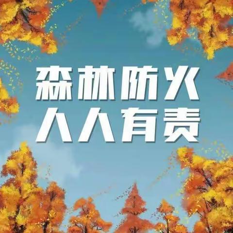 《护林防火，我们应该怎么做？》