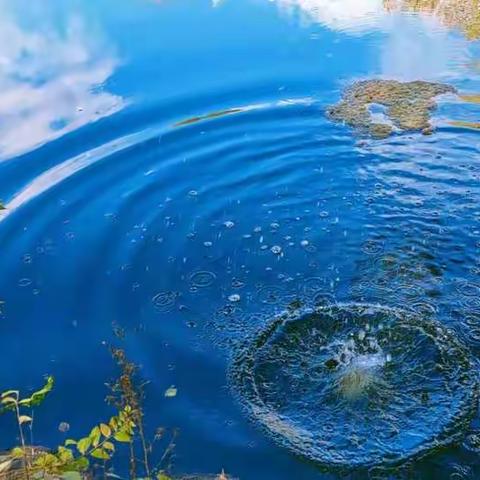 “我眼中的燕尔窝”-----10月13日五星作品展示