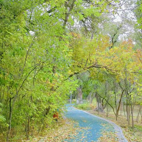 "我眼中的燕尔窝"----10月11日五星作品展示