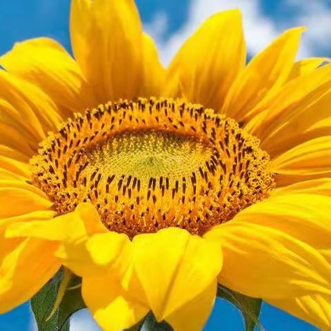 9月兴蒙分院家庭随访