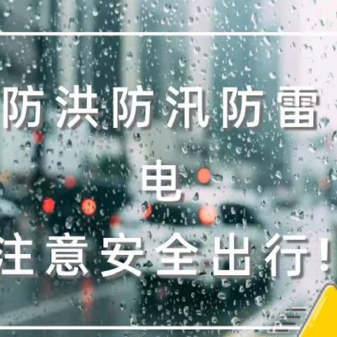 防汛无小事，责任大于天——新江镇小天才幼儿园防汛安全知识宣传