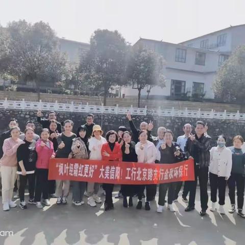北京路支行开展十月“枫叶经霜红更好”环保行月月乐活动