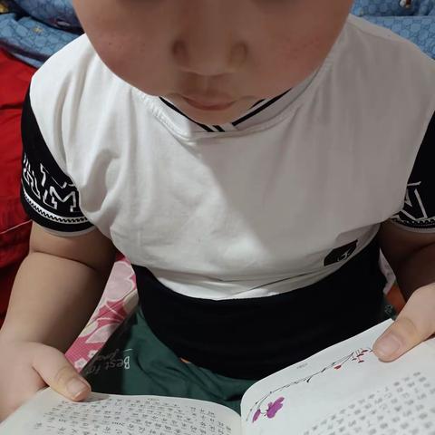 东盛小学二年四班丁海龙《读书伴我行》第三十二期