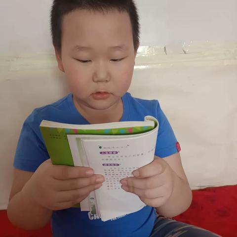 东盛小学二年四班丁海龙家庭读书会第二十四期