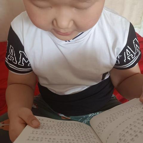 东盛小学二年四班丁海龙《读书伴我行》第二十八期
