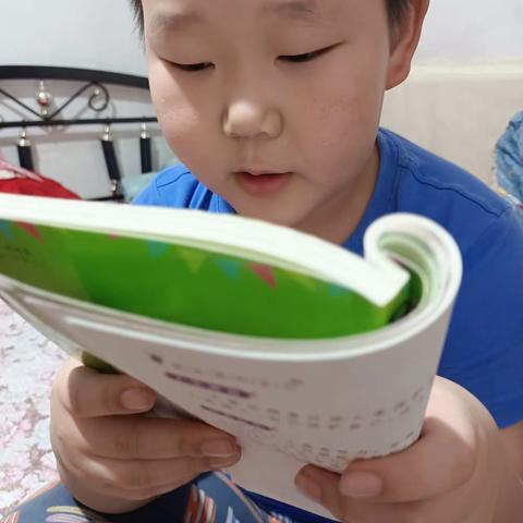 东盛小学二年四班丁海龙《读书伴我行》第二十六期