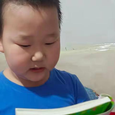 东盛小学二年四班丁海龙《读书伴我行》第二十五期