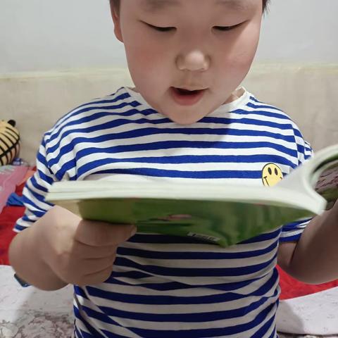 东盛小学二年四班丁海龙《读书伴我行》第二十七期