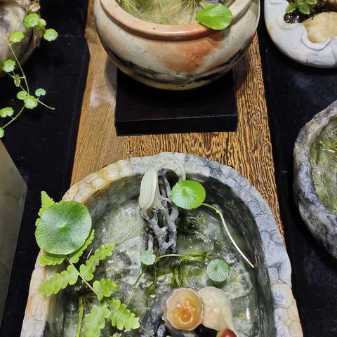 今天游福州三坊七巷记