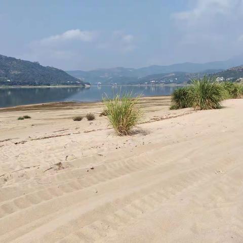 白沙是个好地方