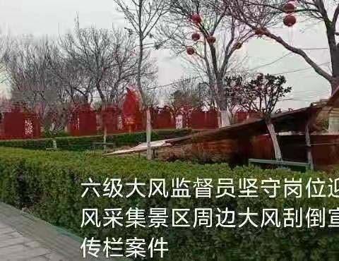 暴风突袭！浙江网新帮德开封分公司隐患采集，“对症下药”保安全！