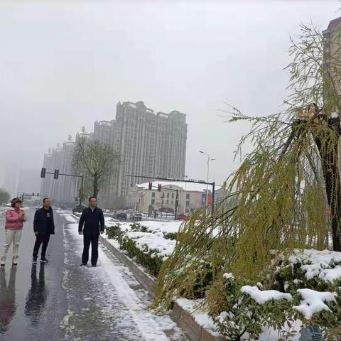 不畏严寒，雪中坚守              ——浙江网新帮德开封分公司雪天巡查不放松