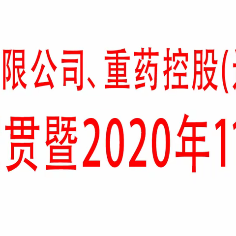 企业文化手册宣贯暨2020年11月经营工作会议