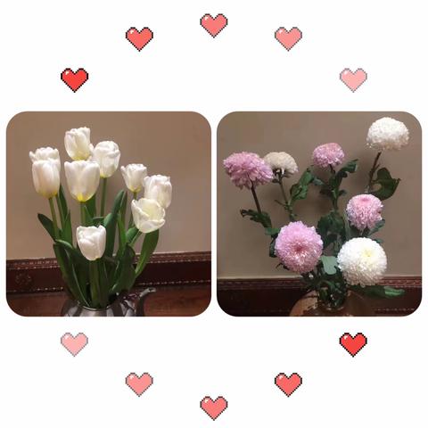 抗击疫情，巾帼有我——站前支行“女神节”才艺大赛