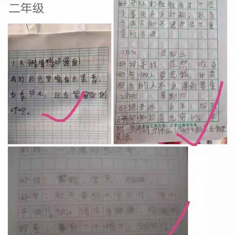 三桥镇杨庄小学学生假期作业情况