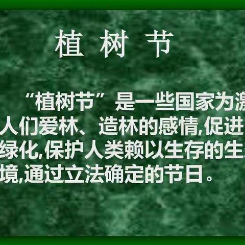 【苏家屯区中兴街小学附属幼儿园】——画一颗小树，绿一方净土！