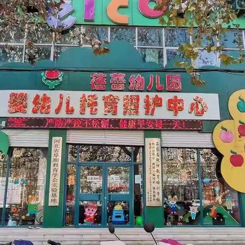 行唐县蓓蕾幼儿园被评为“石家庄市四星级婴幼儿照护示范机构”