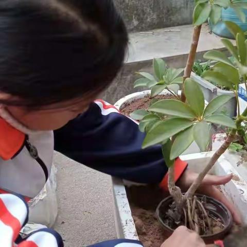 郯城县港上镇停庙小学“小手拉大手，共筑碧水蓝天”系列活动