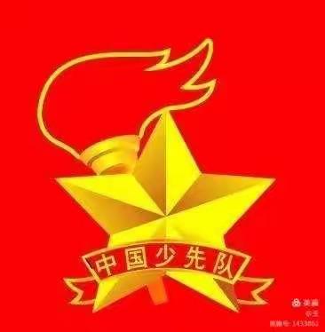 三亚市崖州区保港小学开展“请党放心，强国有我”少先队建队日主题班队会活动