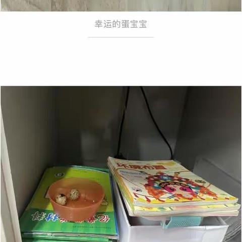 和和的中班趣事