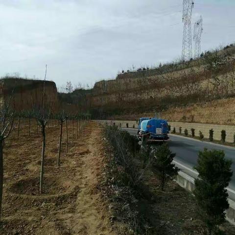 千阳县植树种花现场