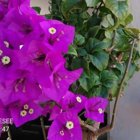 做好自己，不解释，时间会给出最好的证明。