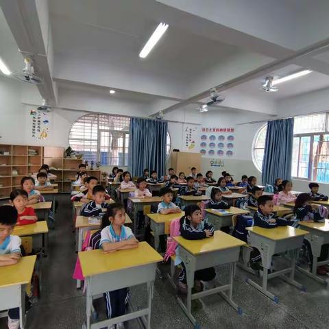 七巧板，我看行！！！