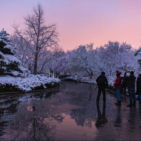 ❄️春雪❄️