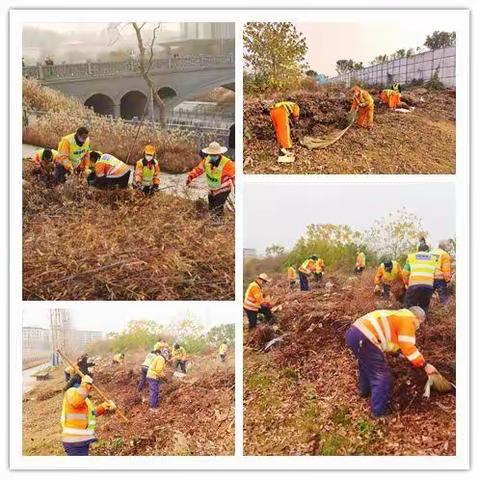 全力以赴，为“两会”顺利召开保驾护航【沙区环卫处】