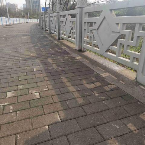 开展清除杂草青苔整治，营造干净整洁出行环境【沙区环卫处】