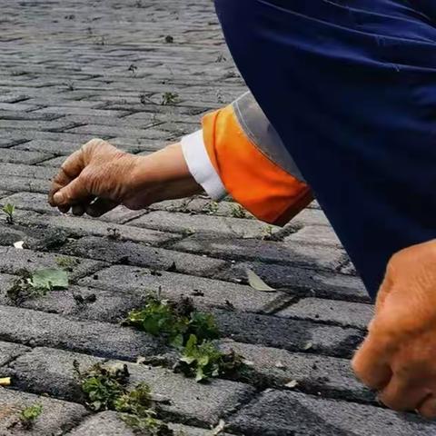 守护城市洁净的环卫人【沙区环卫处】